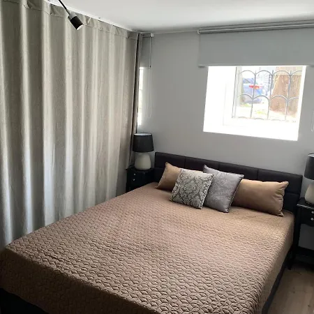 Zair Fireplace タリン